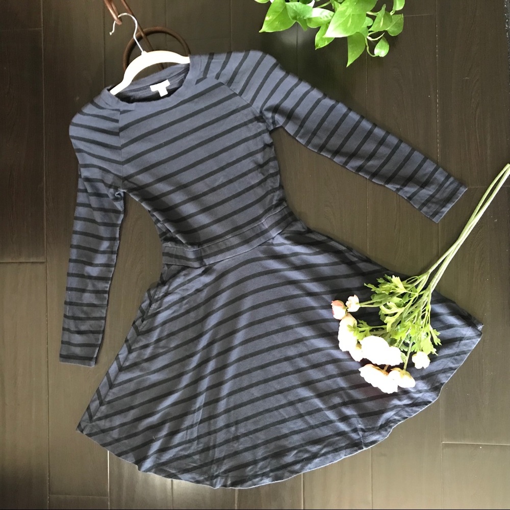 Gap fit and flare dress
